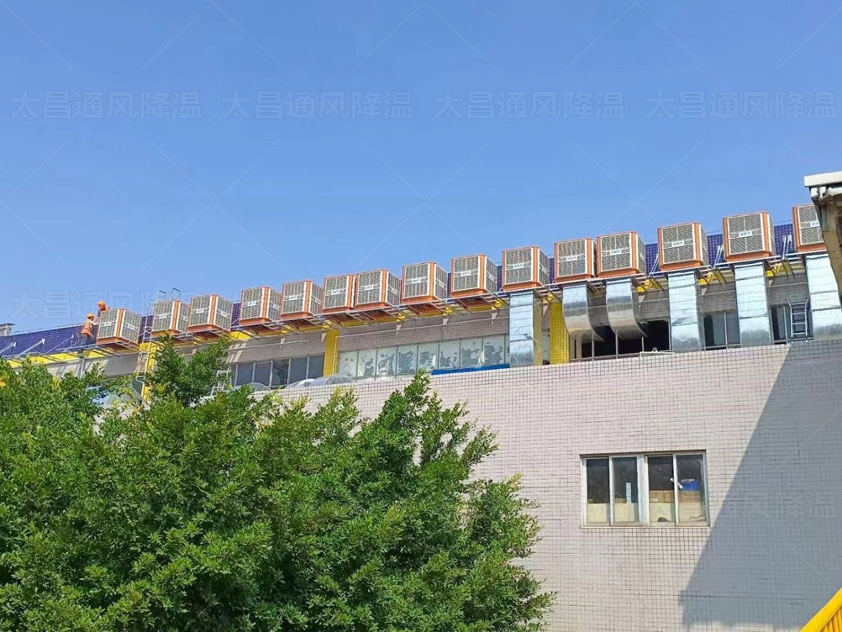 鐵皮廠房如何降溫，來這里了解更多方案