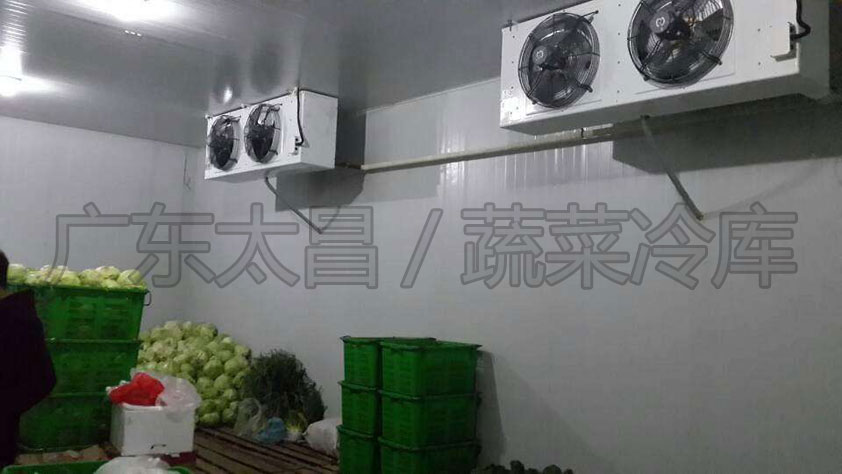 建造保鮮冷庫(kù)需要了解哪些方面？保鮮冷庫(kù)設(shè)計(jì)方案有哪些？