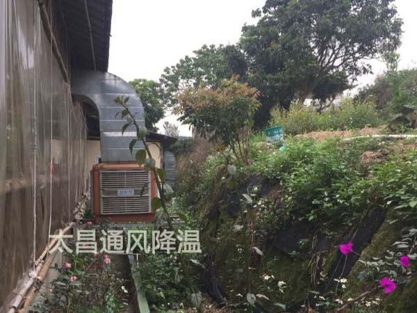 餐廳太熱？環(huán)保空調(diào)為你送清風(fēng)