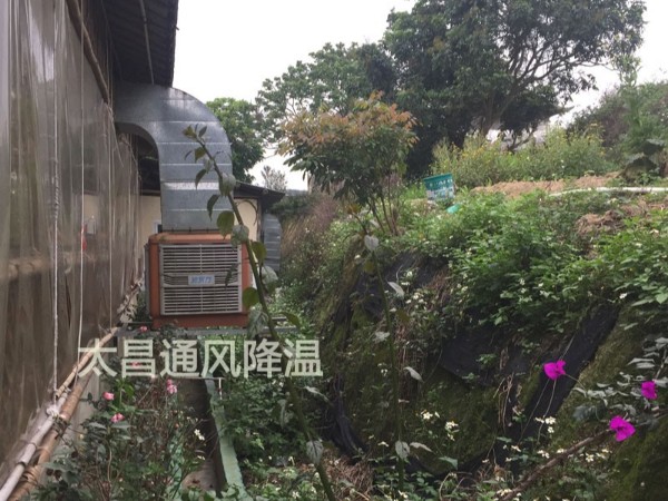 天氣太熱?環(huán)?？照{(diào)為你的餐廳守護清涼
